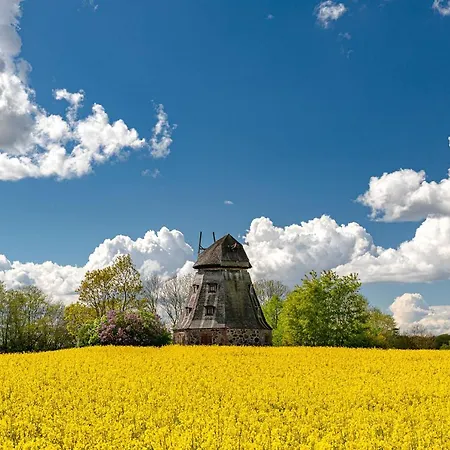 Ferienhaus Einstein Waren (Mueritz)